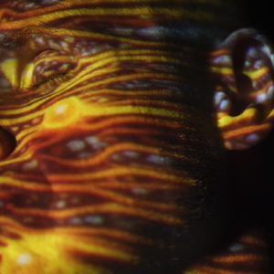 啊哈又加一指啊哈啊
